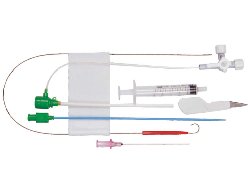 Introducer Sheath 